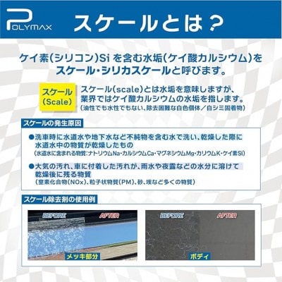 ポリマックス スケール除去剤 300ml