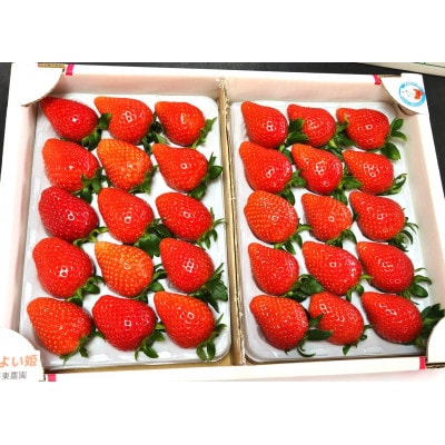 こだわり完熟いちご　やよい姫　450g×2パック