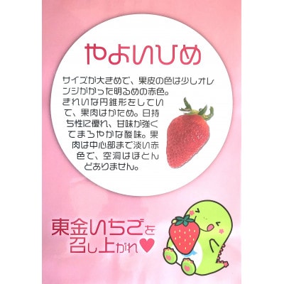 こだわり完熟いちご　やよい姫　450g×2パック