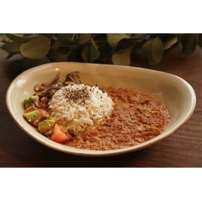 【設楽町 絹姫サーモン】奥三河おさかなキーマカレー　6個セット 　ご当地レトルトカレー