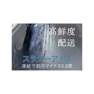 一本釣り地鰹の藁焼きタタキ(生)7~8人前