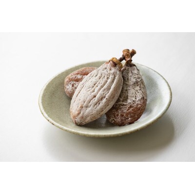 【日本ミツバチの蜜100%使用】はちみつ干し柿 6個入り