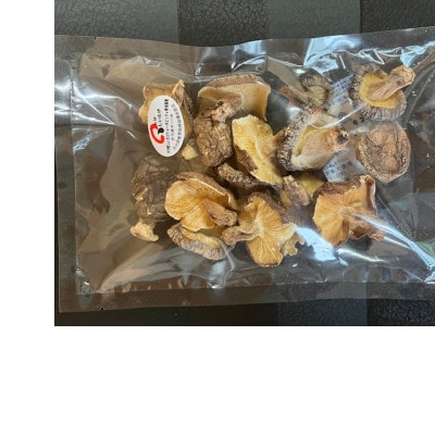 不揃い 原木乾椎茸　10袋セット　(40g×10袋)