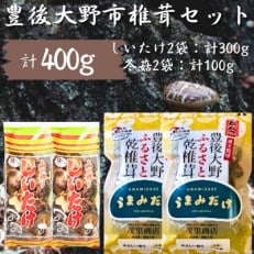 豊後大野市産 椎茸セット 合計400g うまみだけ