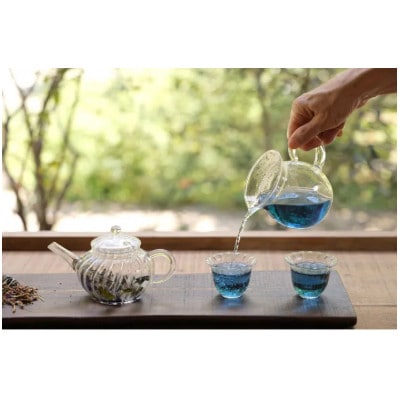 発酵藍茶5g×3袋セット