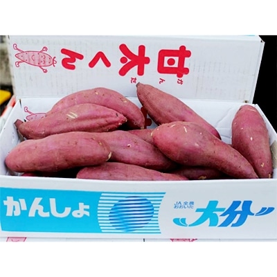 大分県産甘藷(さつまいも)　甘太くん　10kg　紅はるか