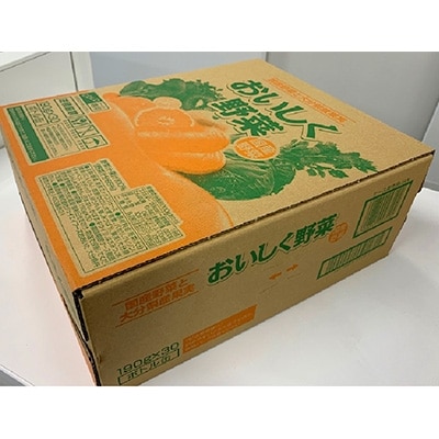 2ケース おいしく野菜　190g×30本
