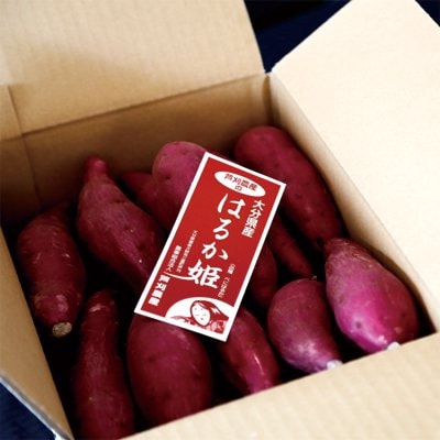 【隠れたお芋の名産地「芦刈」】さつまいも・はるか姫(べにはるか)約5kg