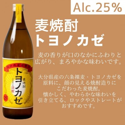 麦焼酎 トヨノカゼ 計10.8L (900ml×12本入り) 25度 セット