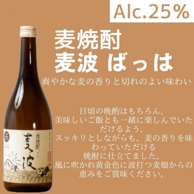 焼酎 麦波(ばっは) 計8.64L (720ml ×12本) 25度 セット