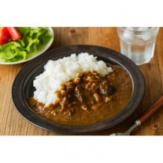 おおいた和牛こくうまカレー200g&times;10袋入(外箱無)【数量限定】(豊後大野市)