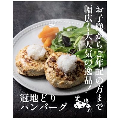 冠地どりハンバーグ 120g×5個 計600g