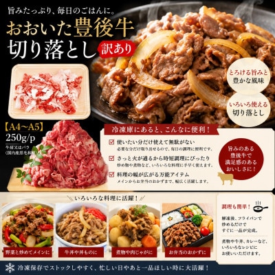 【A4～A5】訳あり!おおいた豊後牛切り落とし 500g(250g×2p)(豊後大野市)