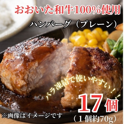 ちょっと贅沢おうちご飯《おおいた和牛100%使用》ハンバーグ プレーン 17個(豊後大野市)