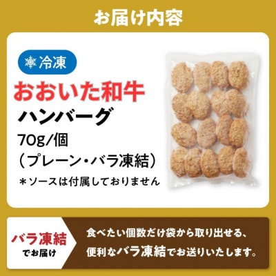 ちょっと贅沢おうちご飯《おおいた和牛100%使用》ハンバーグ プレーン 17個(豊後大野市)