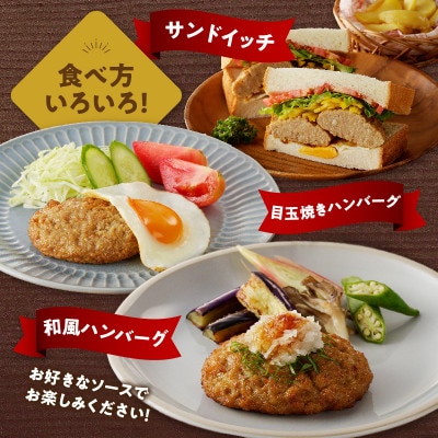 ちょっと贅沢おうちご飯《おおいた和牛100%使用》ハンバーグ プレーン 17個(豊後大野市)
