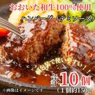 ちょっと贅沢おうちご飯《おおいた和牛100%使用》デミハンバーグ 個包装10個(豊後大野市)