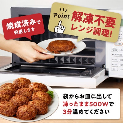 ちょっと贅沢おうちご飯《おおいた和牛100%使用》デミハンバーグ 個包装10個(豊後大野市)