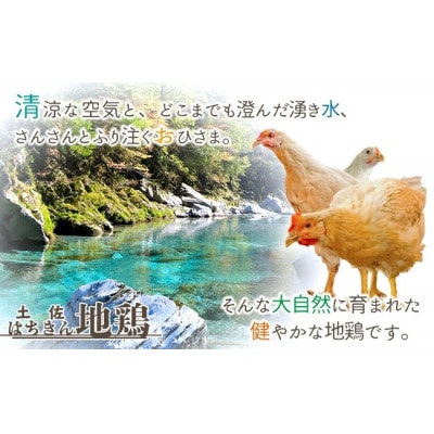 土佐はちきん地鶏　むね肉サラダチキン　 1.5kg(150g×10個)