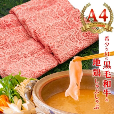国産黒毛和牛 大川黒牛 ロース(600g)&はちきん地鶏 むね肉 (400g)のしゃぶしゃぶセット