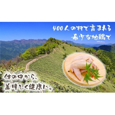 土佐はちきん地鶏 手羽先 1kg×3パック 計3kg  F6R-027