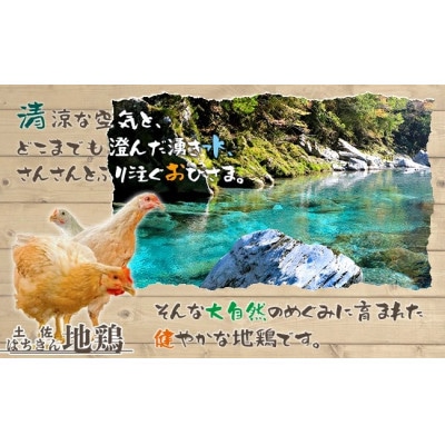 土佐はちきん地鶏 手羽先 1kg×4パック 計4kg  F6R-028
