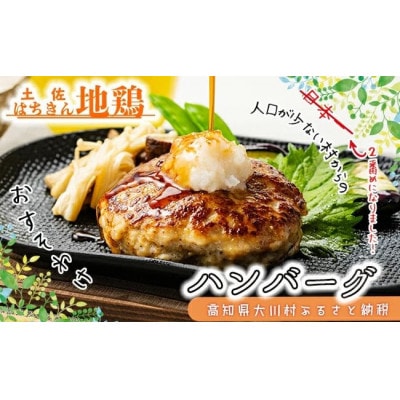 土佐はちきん地鶏ハンバーグセット(150g×8個+はちきん地鶏ポン酢200ml×1本)F6R-079