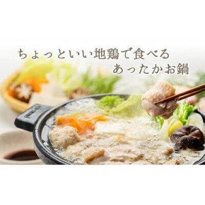 土佐はちきん地鶏 鍋セット(もも肉・むね肉・つくね・ポン酢・スープ・塩)　F6R-080