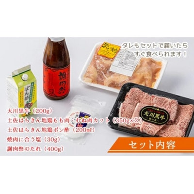 大川村 謝肉祭セット(土佐はちきん地鶏・大川黒牛・大川村謝肉祭のたれ・ポン酢・塩)　F6R-082