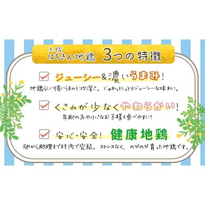 【毎月定期便】【大川村と高知市の共通返礼品】はちきん地鶏まるごと一羽&真鯛とブリの漬丼の素　全2回
