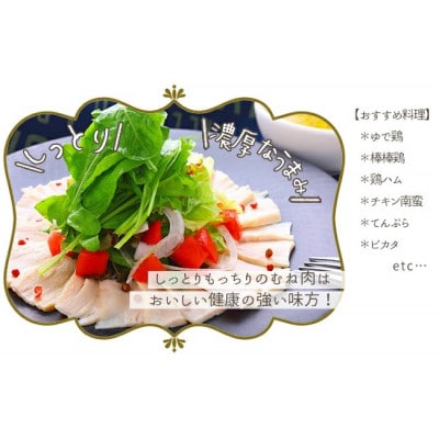 【毎月定期便】大川村 土佐はちきん地鶏 むね肉 1kg全2回