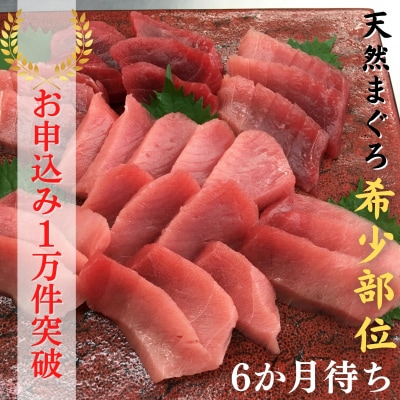 本物の味をお届け!厳選!天然三崎まぐろ【希少部位】背トロ&中トロ・赤身セット | ふるさと納税のお礼品