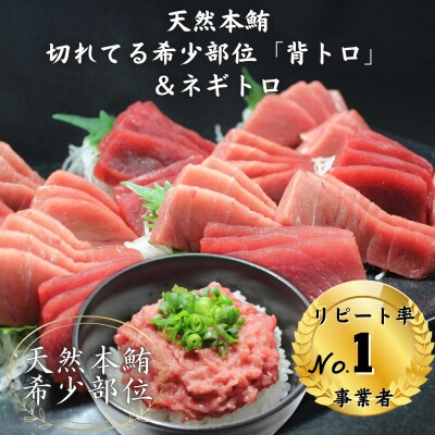 天然本鮪背トロ切れてるお刺身4P+本鮪のネギトロ2P | ふるさと納税のお礼品
