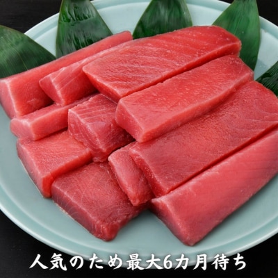 【三崎港直送!】これを選べば間違いなし!業務用　三崎の天然マグロ2kg(最大6カ月待ち)