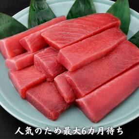 【三崎港直送!】これを選べば間違いなし!業務用 三崎の天然マグロ2kg(最大6カ月待ち)