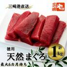 (徳用)老舗三崎まぐろ問屋から直送!新鮮天然マグロ赤身1kg(最大6カ月待ち)