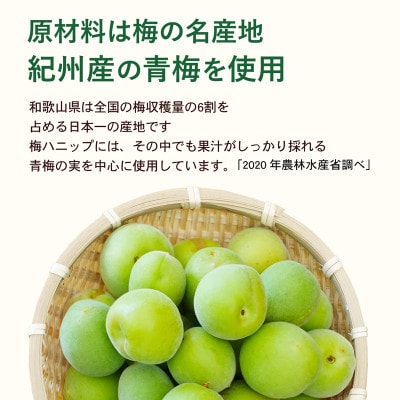 【新宮市】希釈用梅ドリンク 梅ハニップ 3本セット