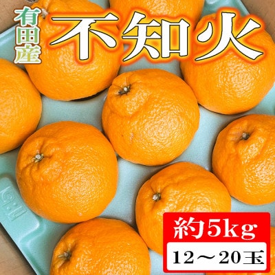 【濃厚春柑橘】有田産不知火約5kg(12玉～20玉おまかせ)　(新宮市)
