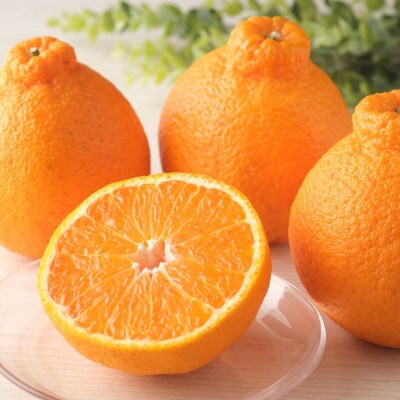 【濃厚春柑橘】有田産不知火約5kg(12玉～20玉おまかせ)　(新宮市)