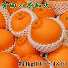 【濃厚春柑橘】有田産不知火約4kg(10玉～18玉おまかせ)　(新宮市)