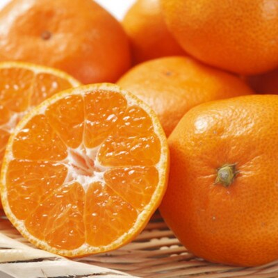 [秀品]和歌山有田みかん約4kg(2Lサイズ)(新宮市)