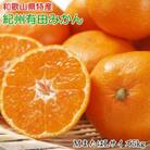 [秀品]和歌山有田みかん約5kg(MサイズまたはLサイズのいずれかをお届け)(新宮市)