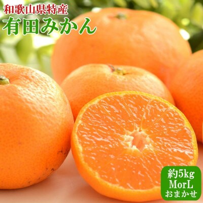 [秀品]和歌山有田みかん約5kg(MサイズまたはLサイズのいずれかをお届け)(新宮市)