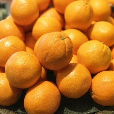【濃厚】和歌山県産ネーブルオレンジ約7.5kg(サイズおまかせ)(新宮市)
