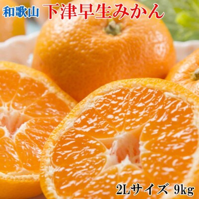 【産直・秀品】和歌山下津早生みかん約9kg(2Lサイズ) (新宮市)