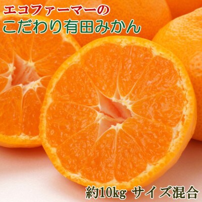 エコファーマーのこだわり有田みかん約10kg(サイズ混合)2025年11月中旬より順次発送(新宮市)