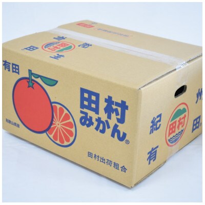 【ブランドみかん】田村みかん大玉約9kg(2Lサイズ)2026年11月下旬より順次発送