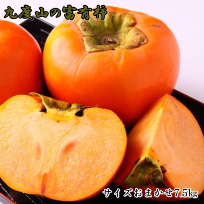 【柿の名産地】九度山の富有柿約7.5kg(サイズおまかせ・青秀以上)(新宮市)