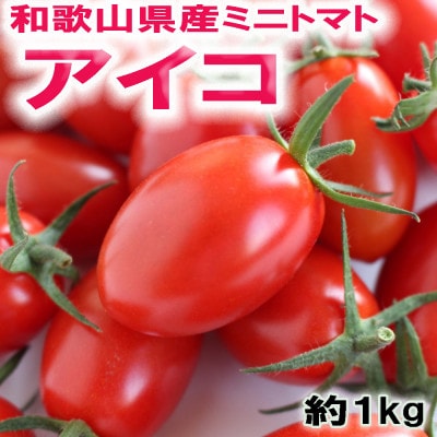 【2027年3月出荷】和歌山県産ミニトマト「アイコトマト」約1kg(M・Lサイズおまかせ)新宮市