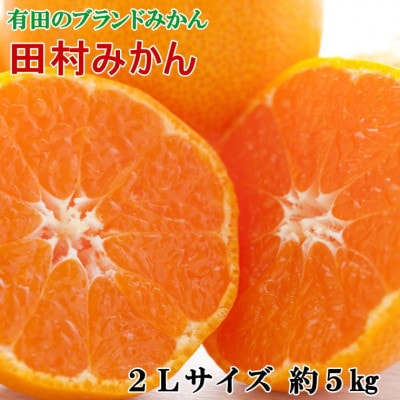 【ブランドみかん】田村みかん約5kg(2Lサイズ・秀品)(新宮市)